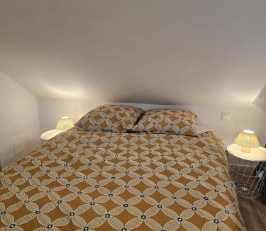 Chateau-Gontier Apartment | Le Ptit nid Cocon au cœur du centre ville