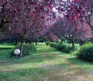 Marmagne Ski Chalet | Le rêve au fil de l'eau