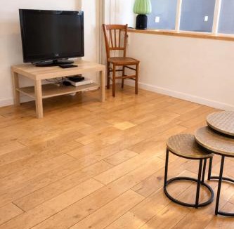 Cathedrale Apartment | Le Racine – Élégant appartement au cœur de Tours
