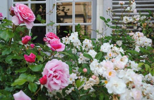 Richelieu Bed & Breakfast | Le Ragois