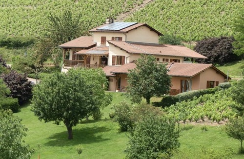 Pruzilly House | Le Raisin Bleu - PRUZILLY