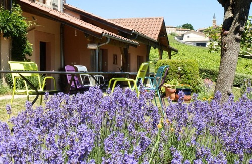 Pruzilly House | Le Raisin Bleu - PRUZILLY