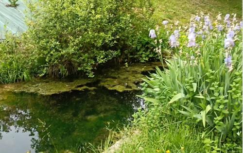 Puybegon House | Le Reflet du Trèfle