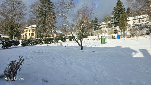 La Petite-Fosse House | le refuge des sapins
