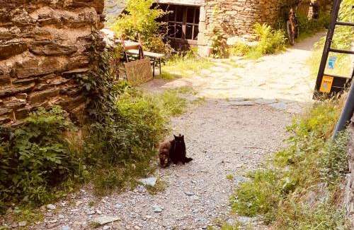 Vialas House | Le Refuge de Castagnols