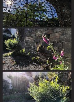 Saint-Sauveur-la-Pommeraye Bed & Breakfast | Le Relais