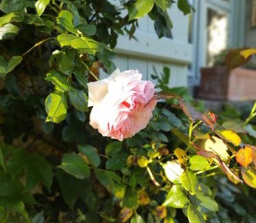 Prunay-en-Yvelines Bed & Breakfast | Le Relais d'Antoinette