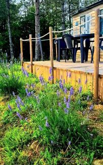 Peyrusse-Grande Apartment | Le Relais de D'Artagnan