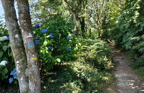 Bourbriac House | Le Relais de la Centaurine