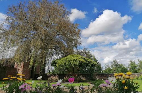 Avesnes-sur-Helpe Bed & Breakfast | Le relais Napoléon