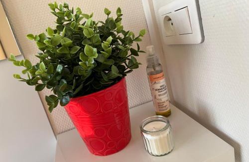 Saint-Vincent Apartment | Le repère tranquille - F2 spacieux, proche gare