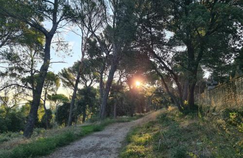 Barbentane House | Le repaire de Mélusine