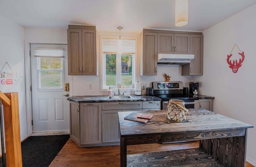 Saint-Roch-de-Mekinac Ski Chalet | Le Road Shack | Spa Snowmobile Dog Friendly