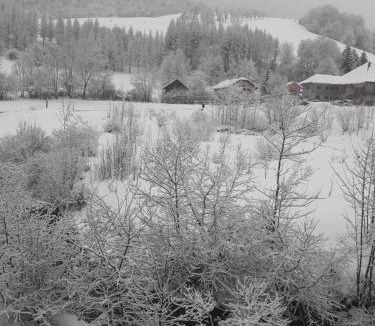 Aillon-le-Jerune Apartment | Le rossane