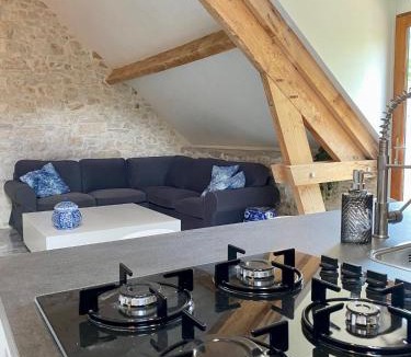 Degagnac Apartment | Le ROSSIGNOL APPARTEMENT MET AIRCO & PRIVE TERRAS