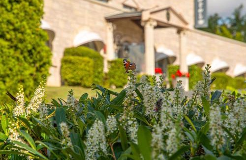 Albert Hotel | Le Royal Picardie