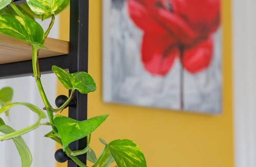 Griffon - Royale Apartment | Le Royale Haussmann Hyper center