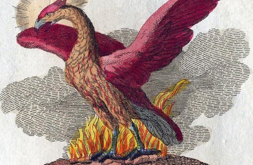 Teilhede House | Le Royaume du Phéonix