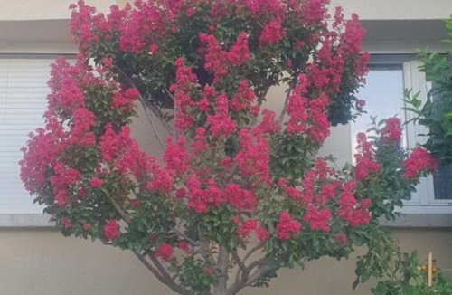 La Coucourde Apartment | Le Rubiz,