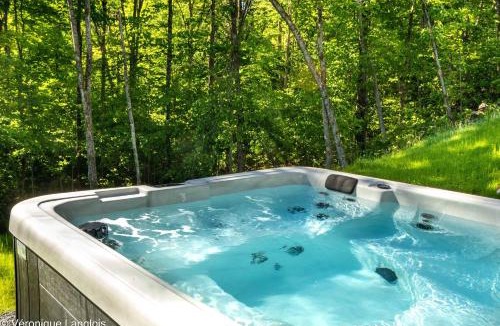 Pine Hill Ski Chalet | Le RuissO - Spa et Confort