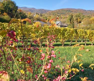 Apremont Hotel | Le Saint Vincent