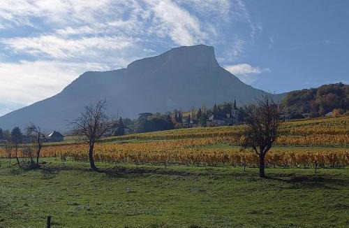 Apremont Hotel | Le Saint Vincent