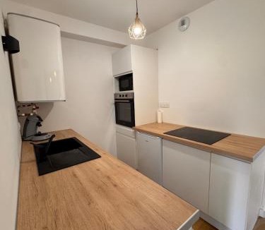 Pelussin Apartment | Le Saphir By Clem