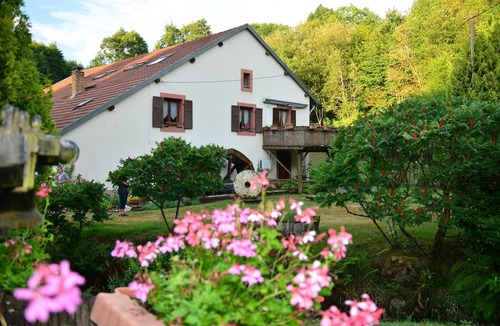 Ban-de-Sapt House | Le Sapin Sec - 3 rooms for 6 people