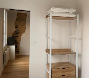 Downtown Angers Apartment | Le Sauge