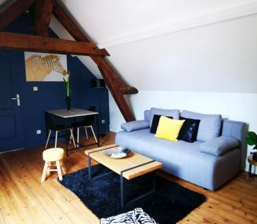 Saumur Apartment | Le Saut Mur