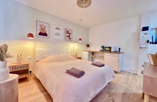 Chasseneuil-du-Poitou Apartment | Le Scandinave Jolie Studio aux portes du Futuroscope