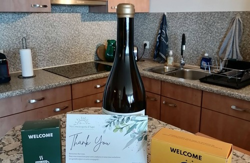 La Jetee Apartment | Le Sea View - T3 - Sea view - Terrace - Parking.