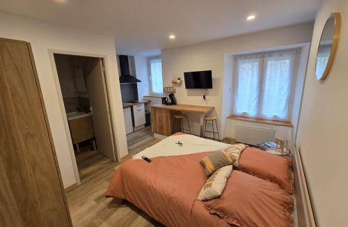 Brioude Apartment | Le Sebastopol- Studio cosy en centre ville de Brioude