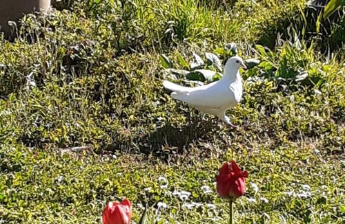 Saumur Val de Loire Other | Le sec'o'ya