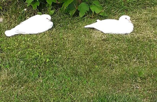 Saumur Val de Loire Other | Le sec'o'ya