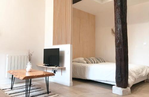 Auch Apartment | Le Seize - Studio dans le centre historique d'Auch