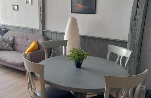 Amboise Apartment | Le sourire de Mona Lisa 2 étoiles 100m du château