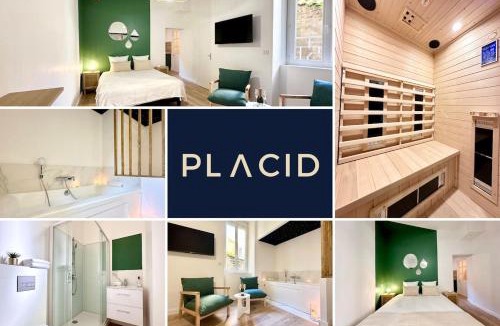Mont-de-Marsan Apartment | Le SPA Étoilé - Baignoire Balnéo et Sauna Privatif