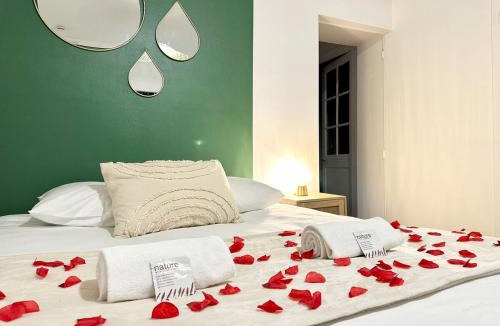 Mont-de-Marsan Apartment | Le SPA Étoilé - Baignoire Balnéo et Sauna Privatif