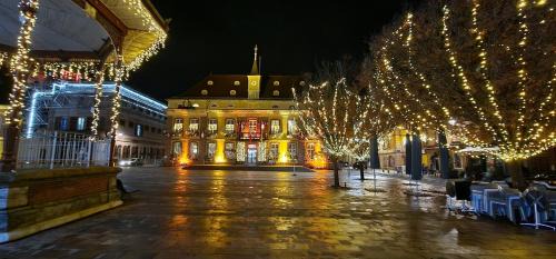 Belfort Apartment | Le St Antoine - Centre Ville - Parking