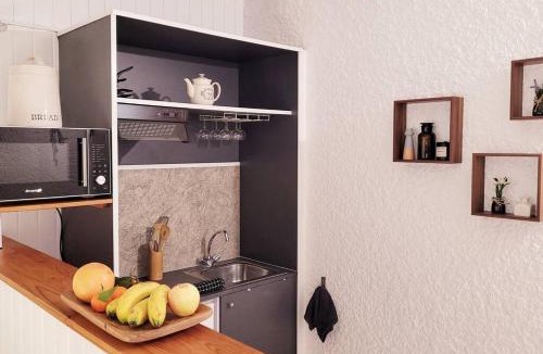 Chasseneuil-du-Poitou Apartment | Le Studio 360 Proche Futuroscope & Arena 1/4 Pers