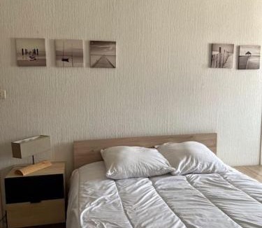 Riorges Apartment | Le Studio: Agréable logement