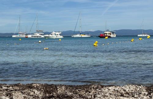 Preconil Apartment | le Studio charme et tranquillité