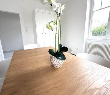 Ittenheim House | Le sympathique