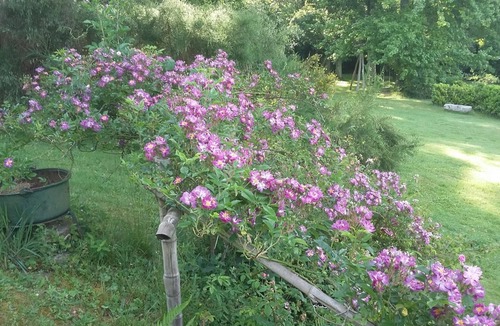 Augreilh House | Le Téoulé - Ste-colombe