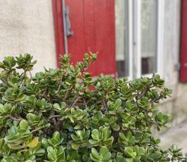 Missegre House | Le Taurillou