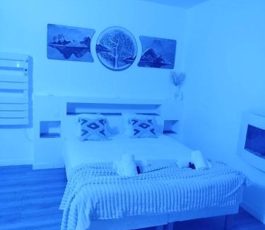 Centre Ville Apartment | Le Temple du SPA