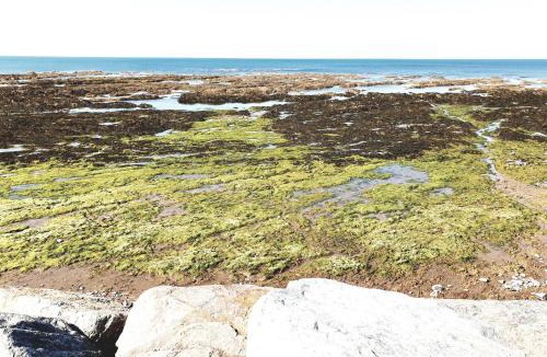 Bretignolles-sur-Mer Bed & Breakfast | Le Temps d'une Pause