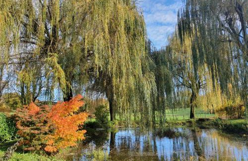Andert-et-Condon Bed & Breakfast | Le Temps d'une Pause