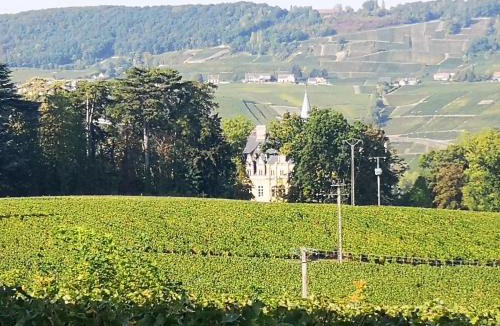 Boursault House | Le Temps d une Pause à Boursault